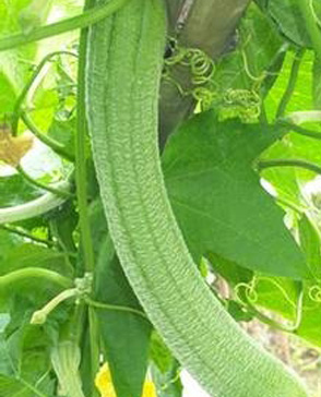 明吉農(nóng)產(chǎn)品配送,重慶農(nóng)產(chǎn)品配送,重慶土雞,重慶土鴨,重慶農(nóng)家樂(lè),蔬菜配送,重慶蔬菜配送,重慶食品配送,食品配送公司,重慶肉禽.重慶配送公司.重慶富民農(nóng)場(chǎng)